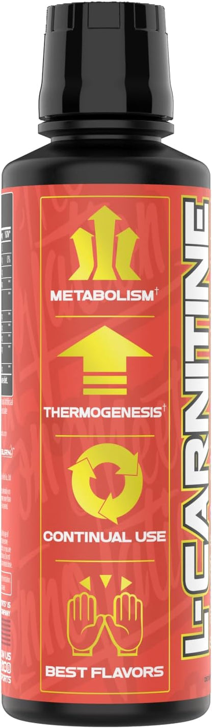 VMI Sports L-Carnitina 1500 Heat Líquida 480ml Melocotón Mango