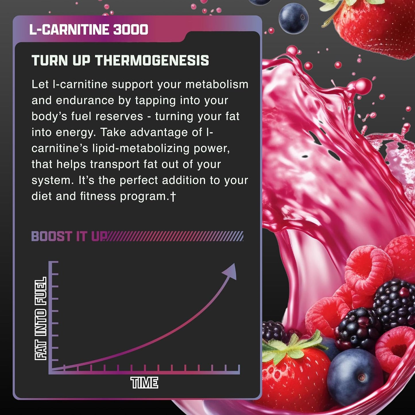 L-CARNITINE 3000 | Carnitina 3,000mg 31 servicios - MarketFit