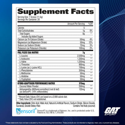 GAT Sport Flexx EAAs + Hydration - Beach Blast, 30 Servings